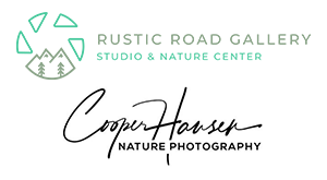 Rustic Road Gallery - Studio & Nature Center
