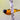 Baltimore Oriole - male