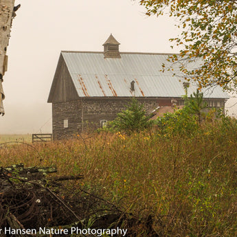 Barbed Wire Barn