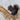 Black Squirrel Print