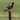 Bobolink