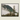 Seward Eagle