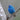 Indigo Bunting - male
