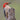Red-bellied Woodpecker - male