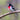 Rose-breasted Grosbeak - male
