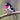 Rose-breasted Grosbeak - male