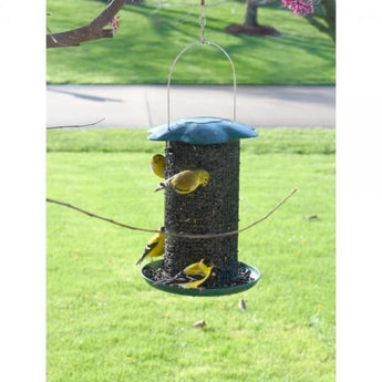 Mammoth Green Sunflower Feeder