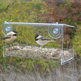 Open Diner Window Feeder