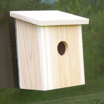 Nest View Bird House