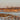 Sandhill Cranes On The Platte