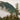 Seward Eagle
