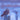 Short-eared Owl