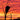 Sunset Silhouette