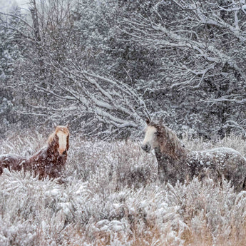 Weathering The Storm - Together