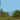 Grasslands Whooping Cranes