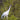 Whoopiing Crane