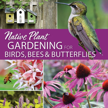 Native Plant Gardening Upper Midwest