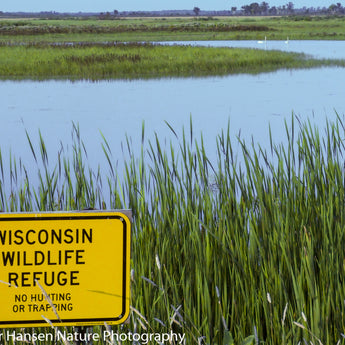 Wisconsin Wildlife Refuge