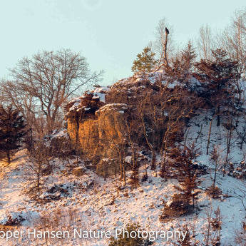 Driftless Golden Eagle