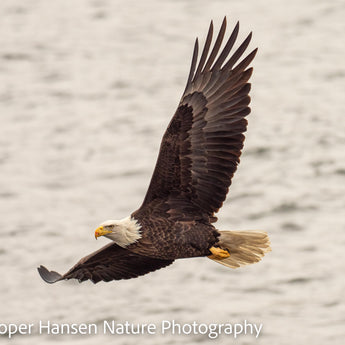 Flying The Open Water