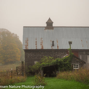 Foggy Barn