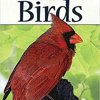 Playing Cards - Birds of the Midwest