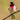 Rose-breasted grosbeak