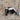 Striped Skunk