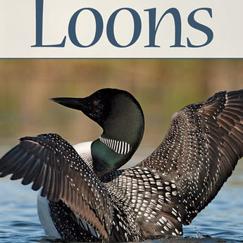 Playing Cards - Loons